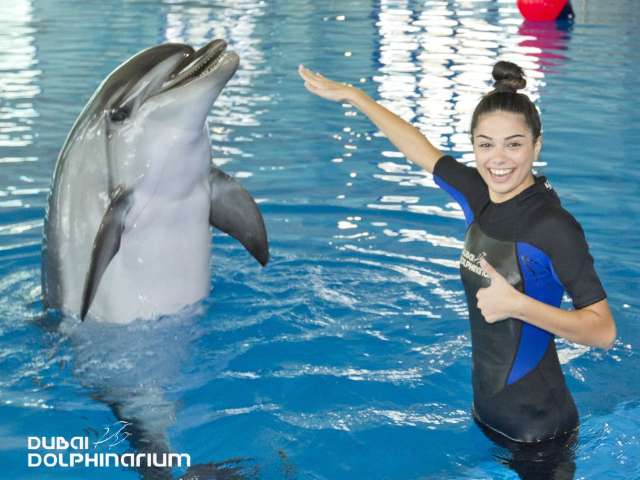 Fazaa - Dubai Dolphinarium - 25% Discount