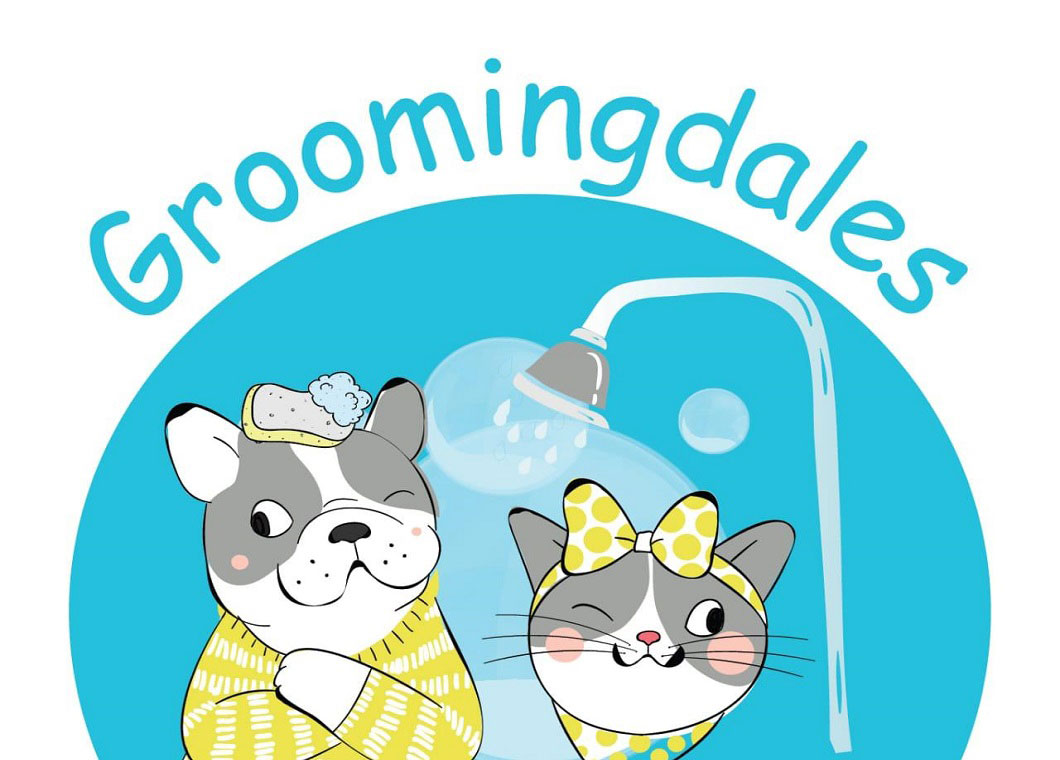 Fazaa Groomingdales pet saloon 15 Discount